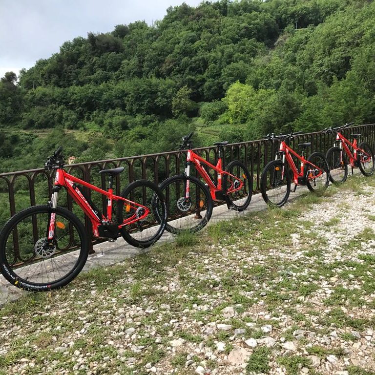 Location de VTT électriques à Vence