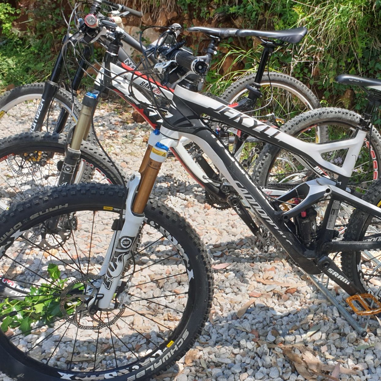 Descente en enduro Vence