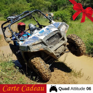 Carte Cadeau Buggy